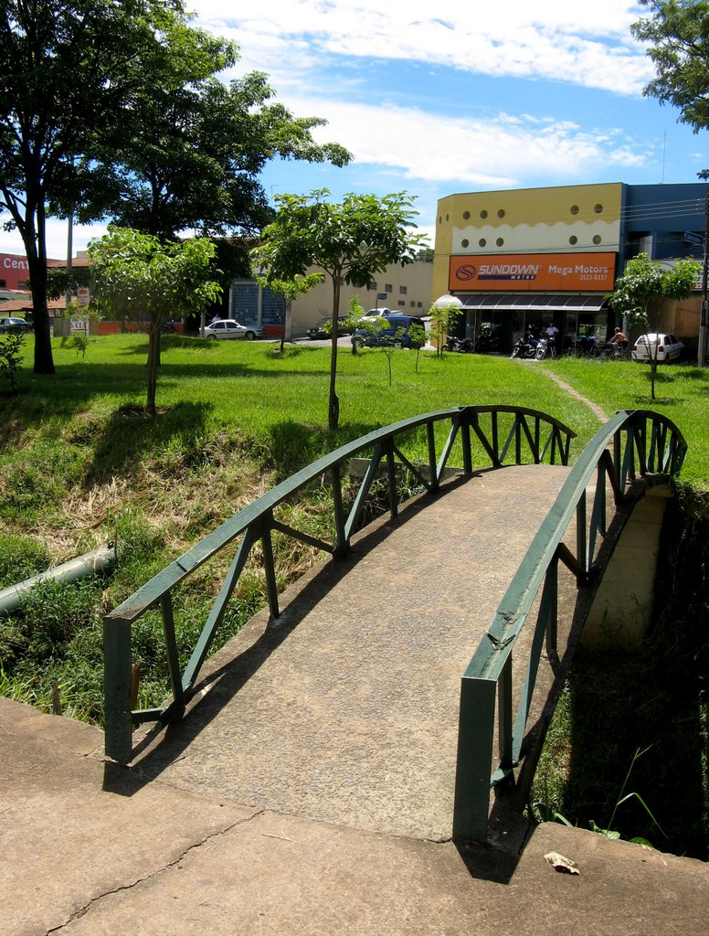 Ponte sobre rio São Domingos, Catanduva, SP, Brasil.