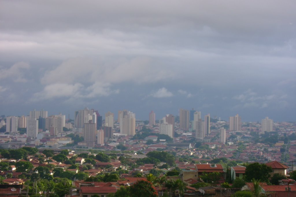 LIMEIRA S.P