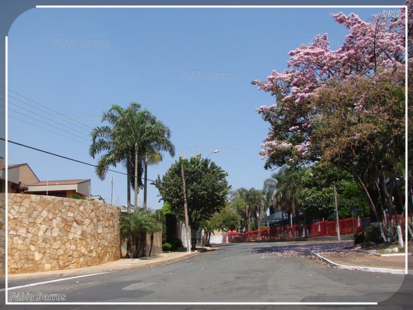Limeira - Foto e 3D: Fábio Barros (www.cidade3d.uniblog.com.br)
