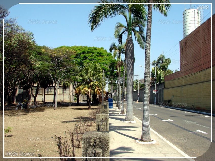 Limeira - Foto e 3D: Fábio Barros (www.cidade3d.uniblog.com.br)