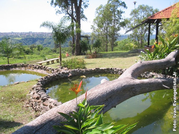 Lago artificial no UNIVEM