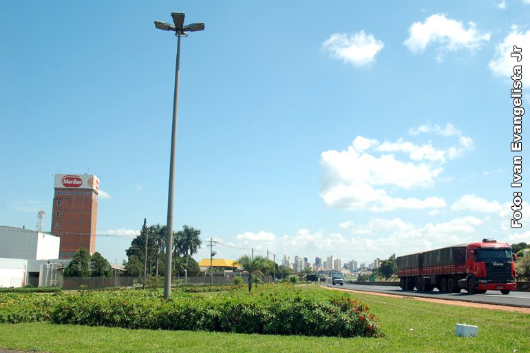 Visão parcial da SP 294, próxima ao trevo com a BR 153