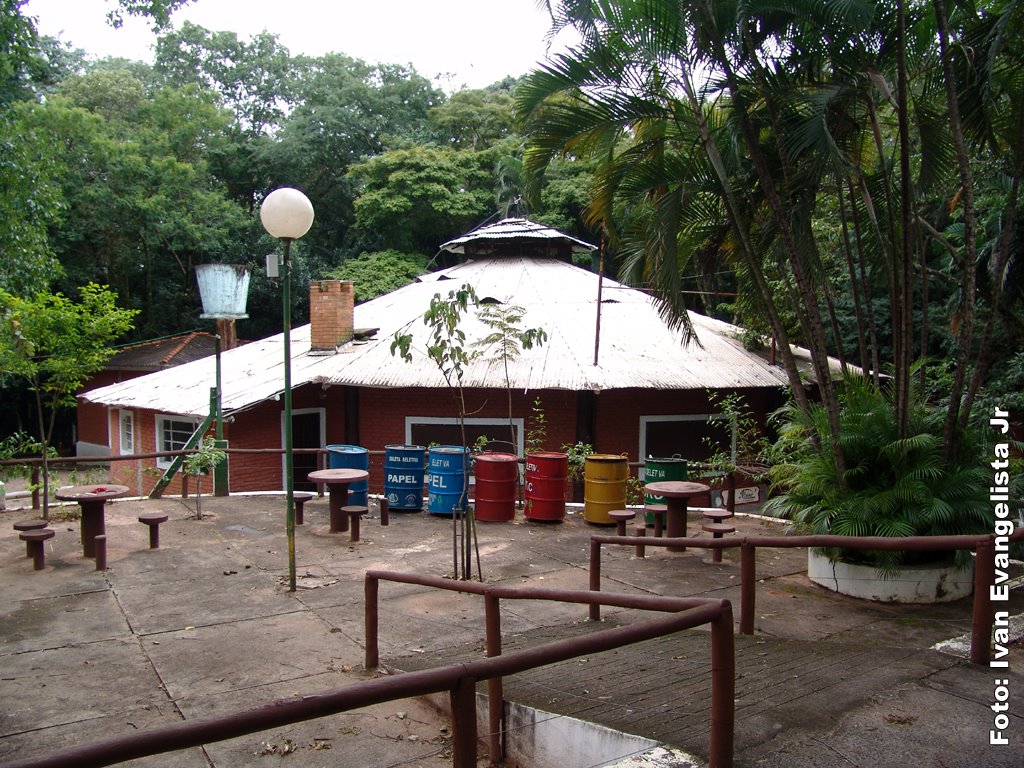Cabana do bosque