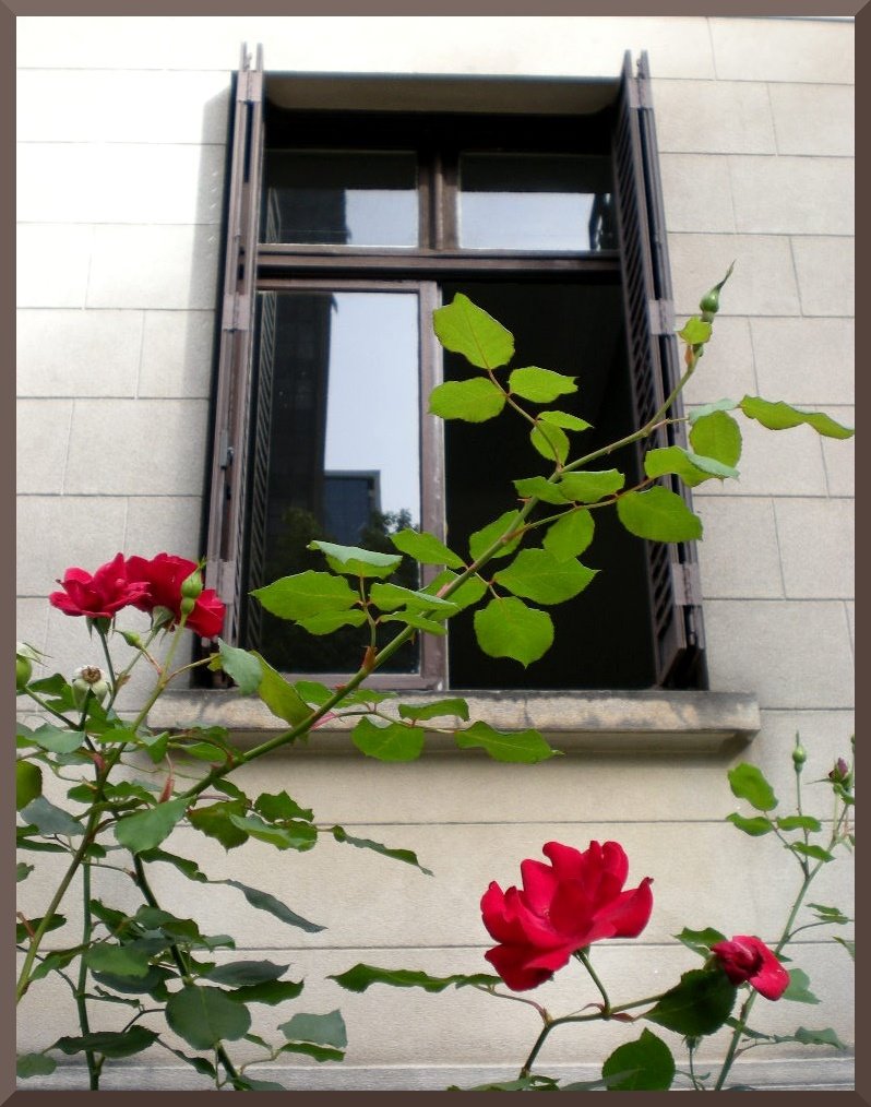 Casa das Rosas...na Avenida Paulista!