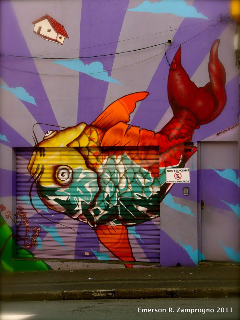 fachada de loja na Rua Augusta decorada com trabalho de Binho Ribeiro 金魚 ezamprogno