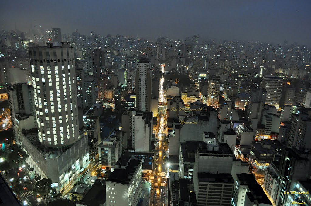 Vista parcial de São Paulo-Brasil