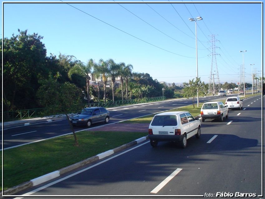 Marginal Dom Aguirre (www.cidade3d.uniblog.com.br)