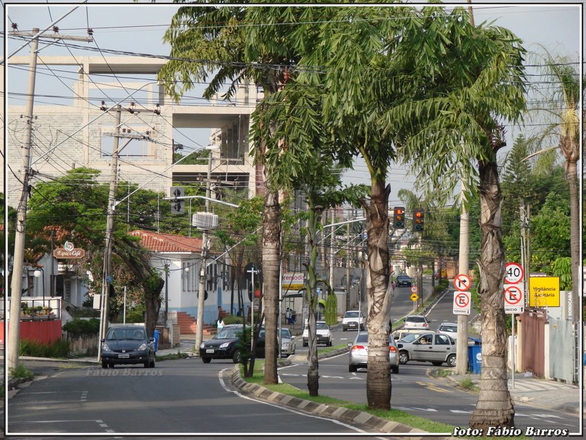 Av. Pereira da Silva - Sorocaba - Foto: Fábio Barros  (www.cidade3d.uniblog.com.br)