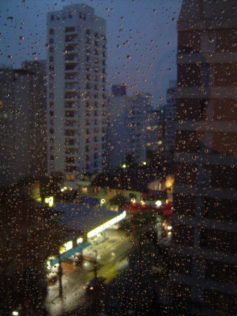 Bela Cintra St.