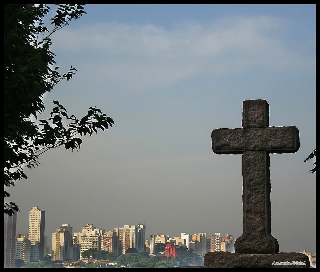 Cemitério do ARAÇÁ - São Paulo - BRASIL.