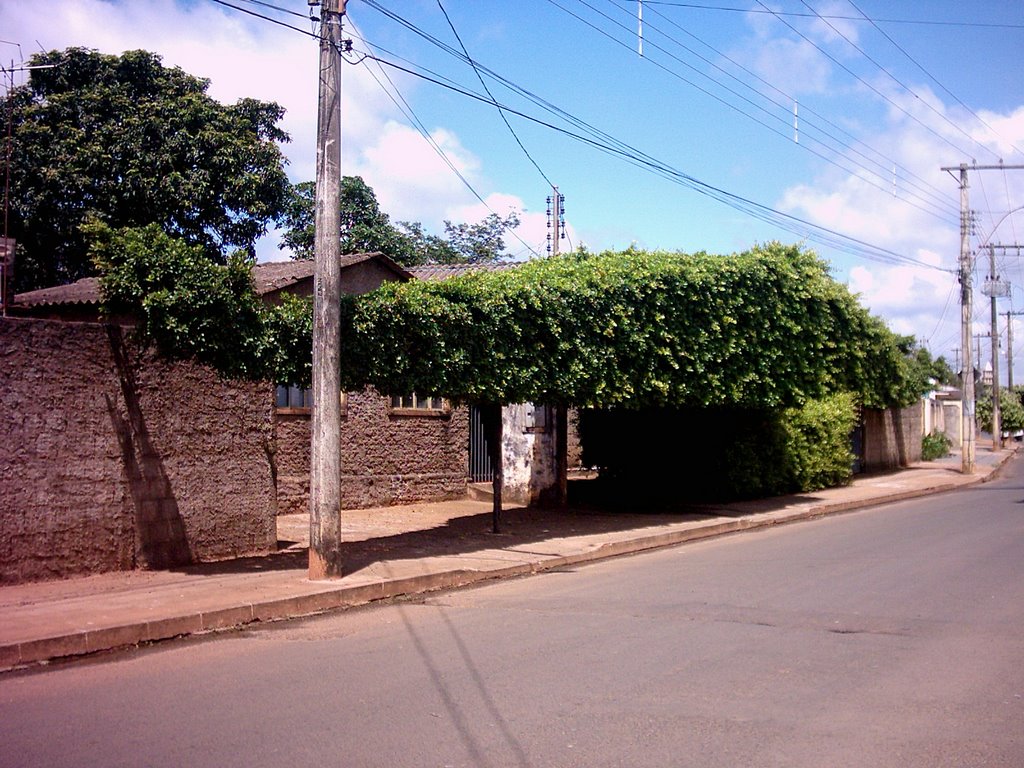 Arvore horizontal  ☺