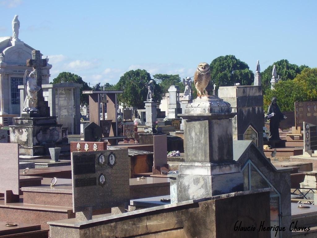 * Cemitério de Araguari