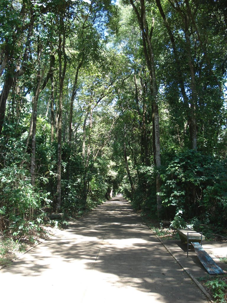 Bosque John Kennedy - Araguari/MG.