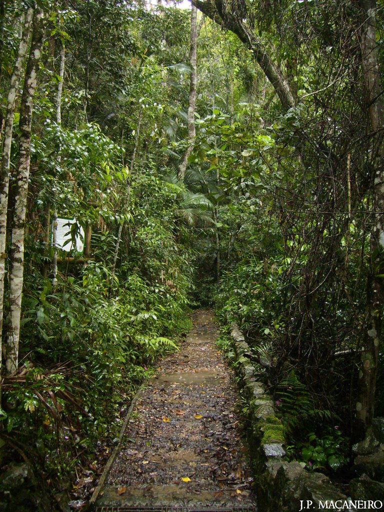 Parque Natural Municipal São Francisco de Assis - Entrada