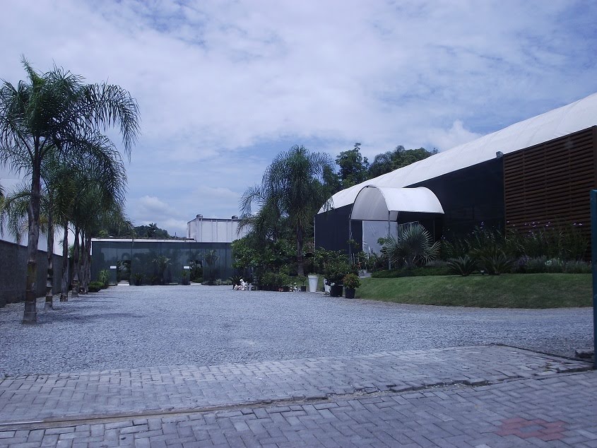 Floricultura