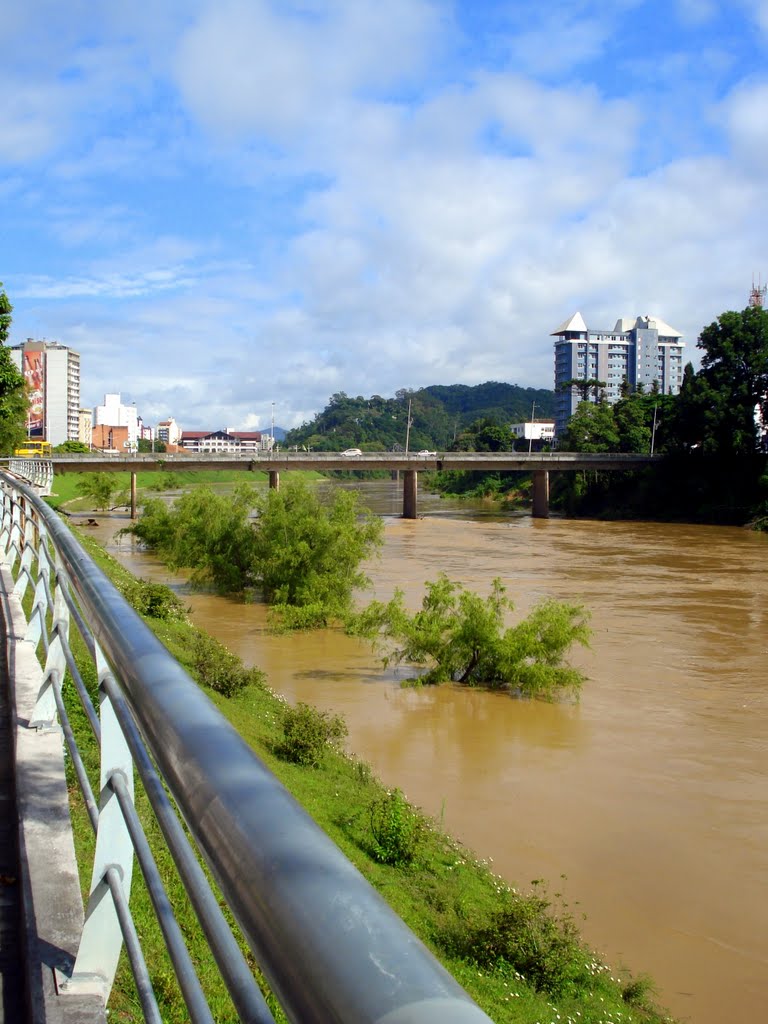 Rio Itajaí Açu, Blumenau