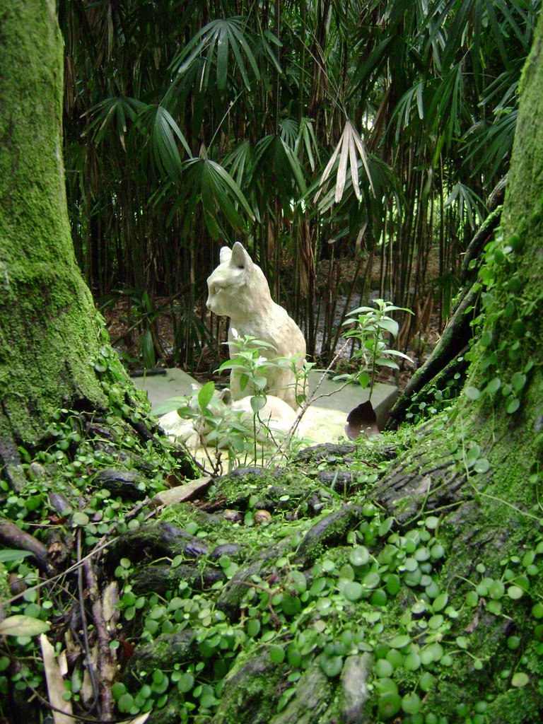 Cemitério de Gatos