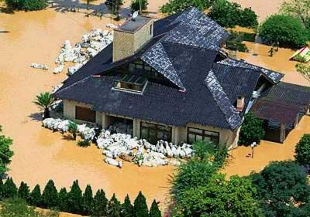BRASIL Santa Catarina foz do rio ITAJAÍ onde rebanho procura abrigo 27nov2008