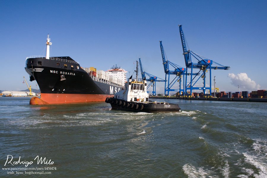 MSC Rosaria, gantries and tug Caillean 1