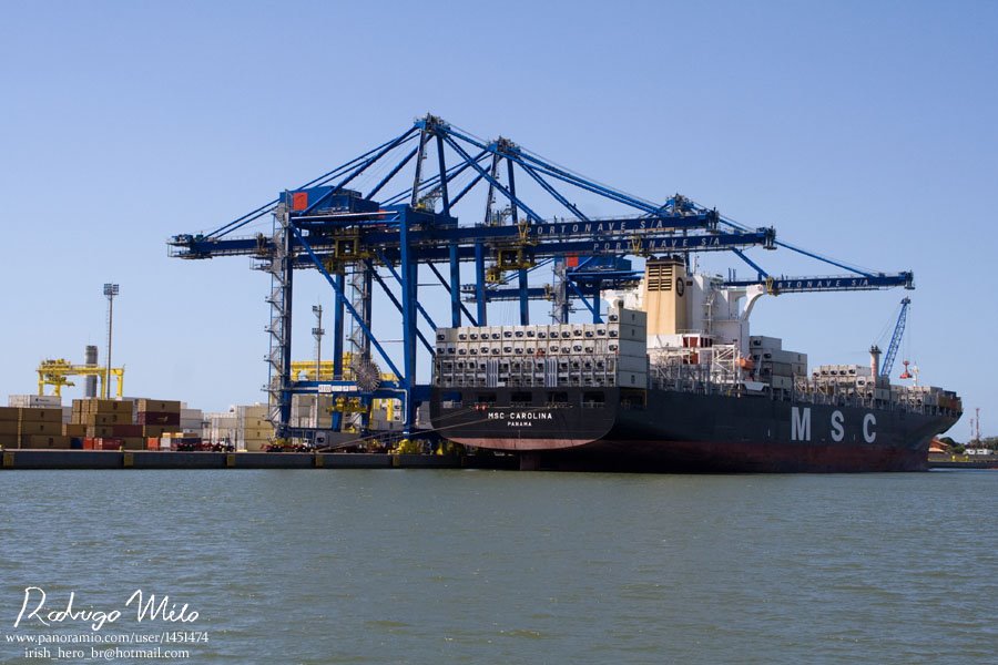 MSC Carolina alongside Portonave