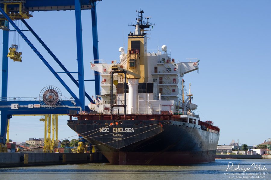 MSC Chelsea along Portonave 1