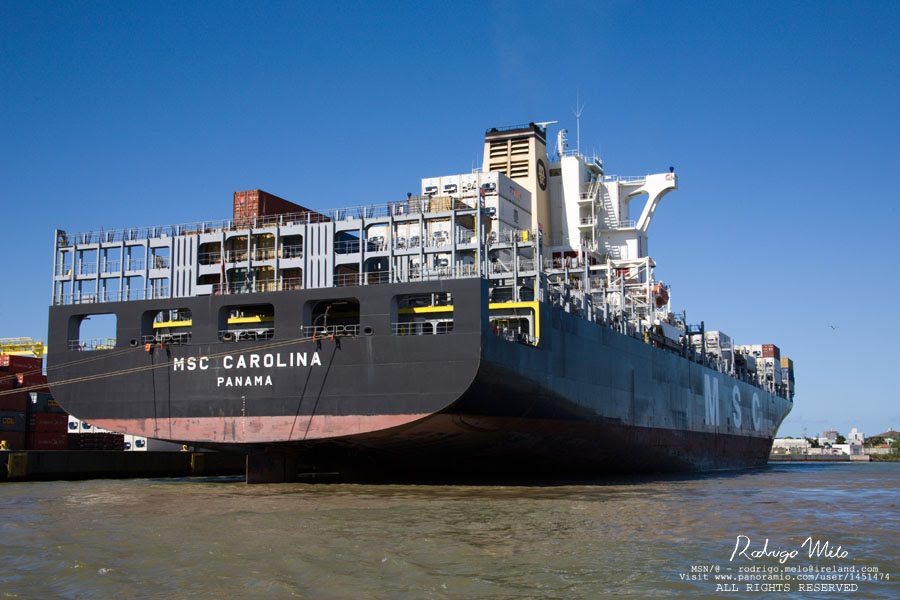 MV MSC CAROLINA alongside BRNVT Port