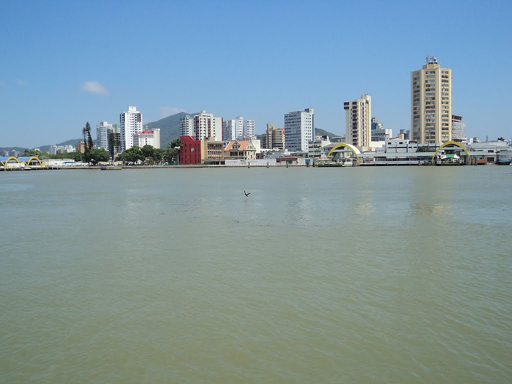 City of Itajaí from Itajaí-Açu River