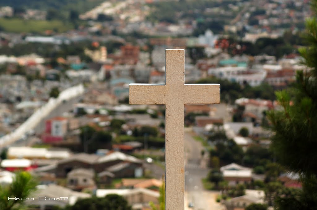 In God we trust.