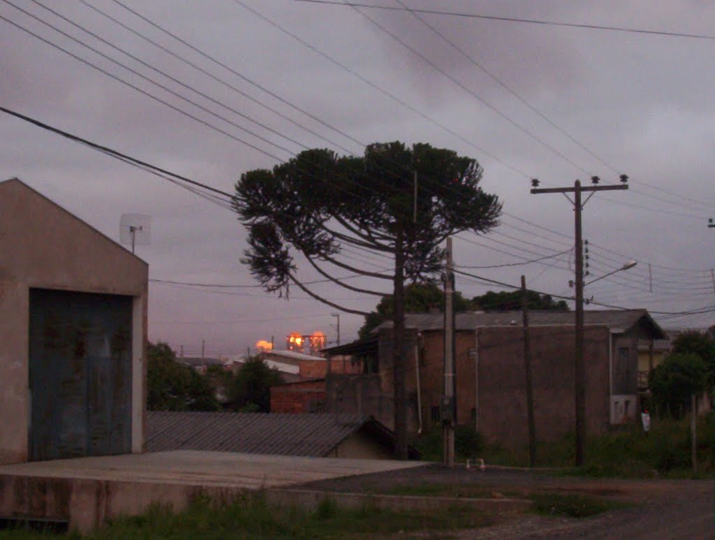 o sol nacendo