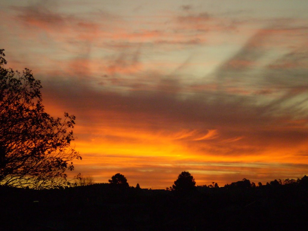 A Festive Sunset