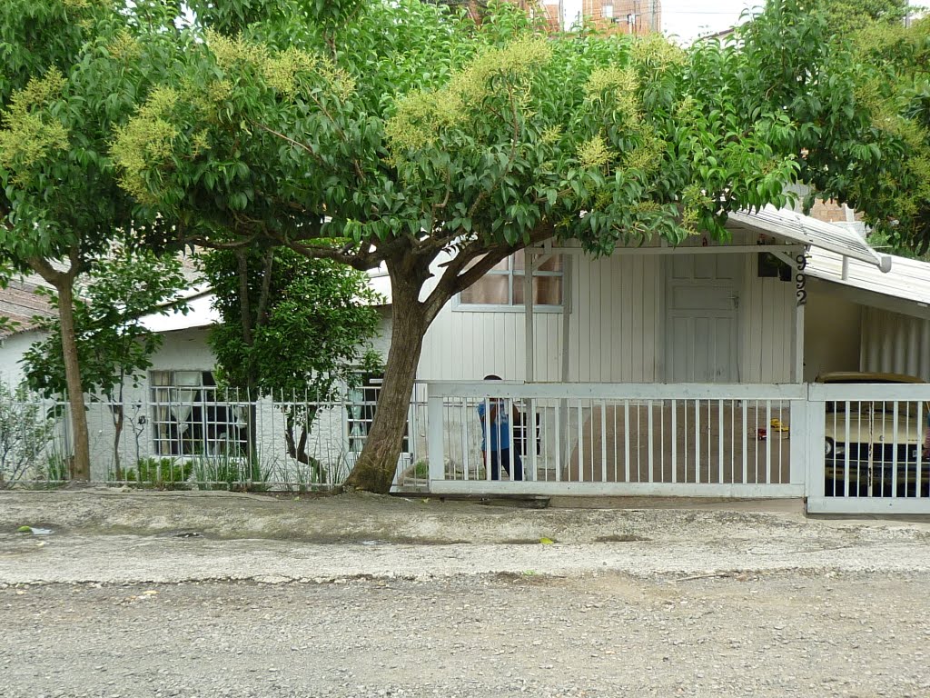 casa do batista