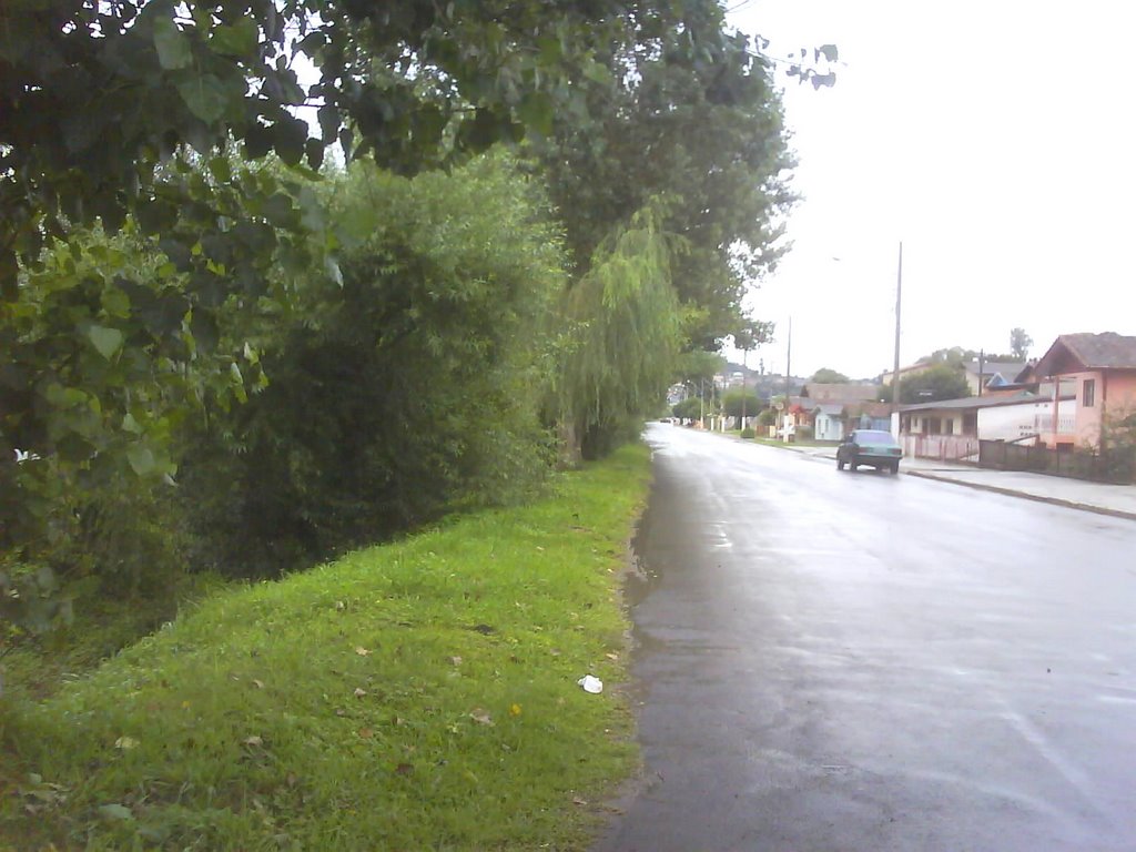 Avenida Belizário da Silva Ramos