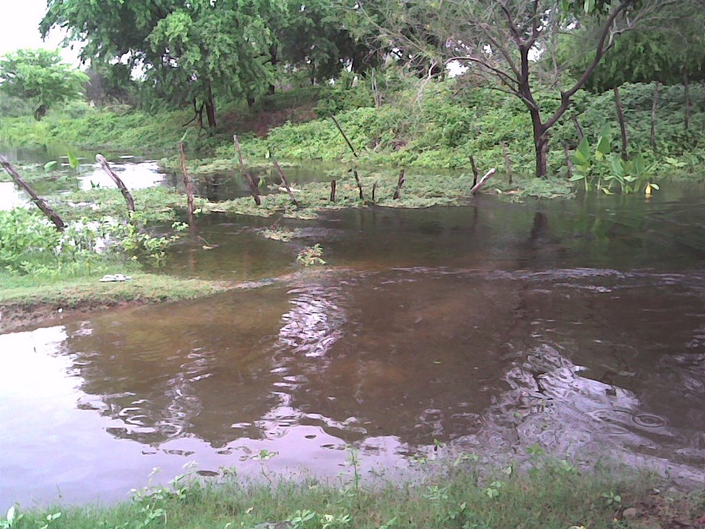 Sangria - Lagoa da Bastiana - Iguatu 2008