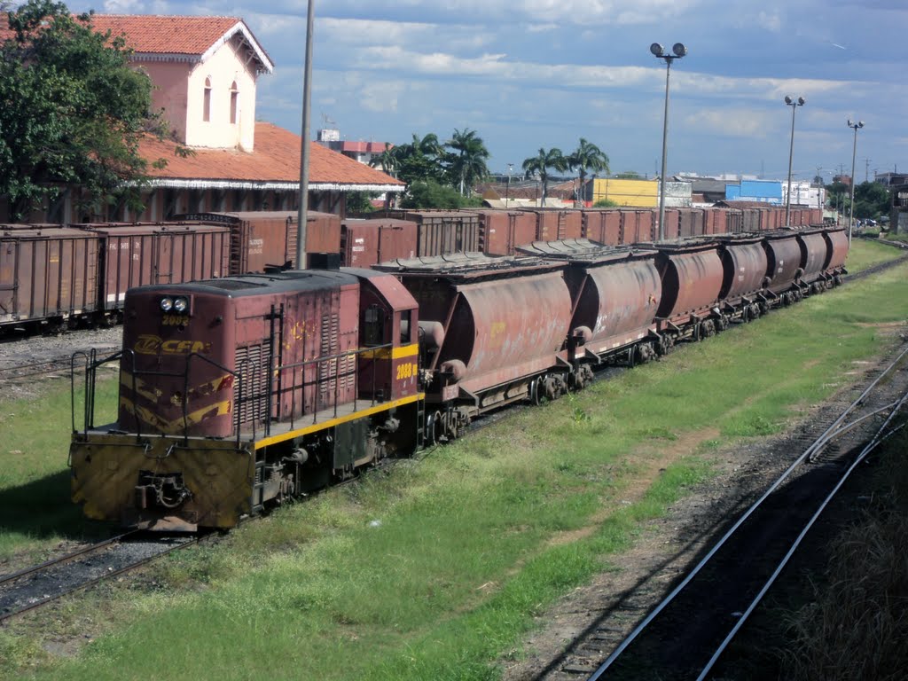 Transnordestina