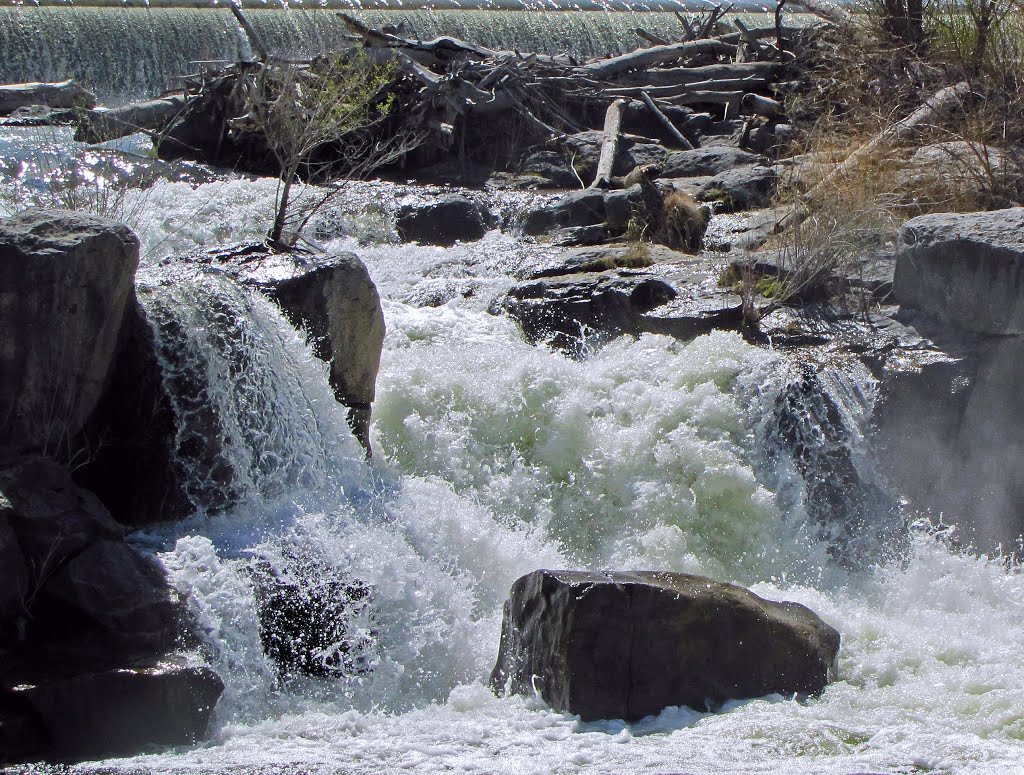 Idaho Falls Downtown