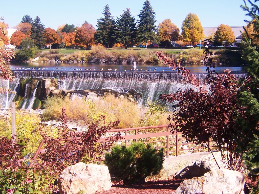 the falls in the fall