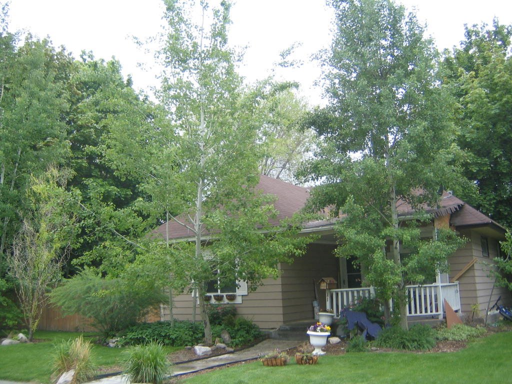 cute home on # steets. www.movetoidahofalls.com