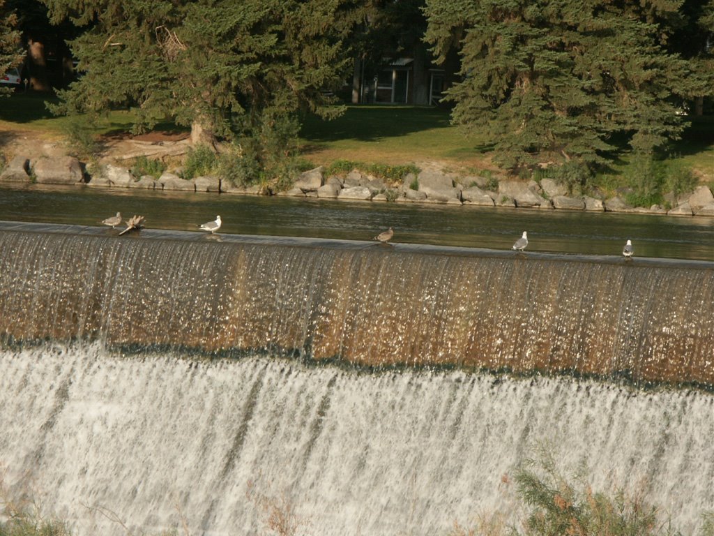 Idaho Falls