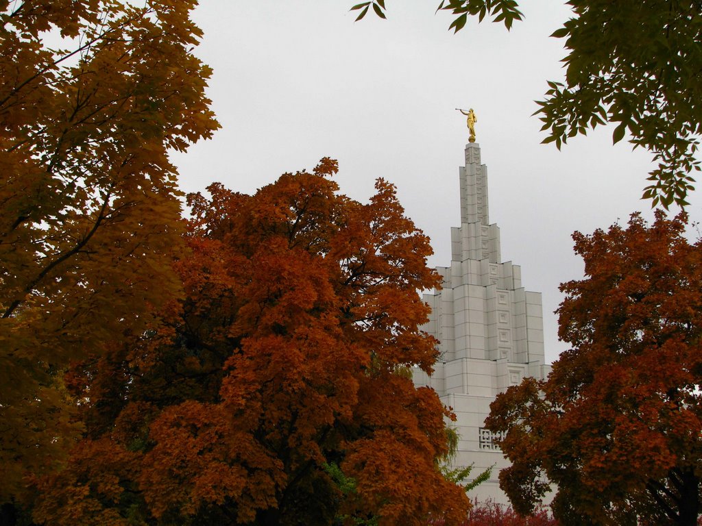 Idaho Falls Temple Spire Among the Leaves