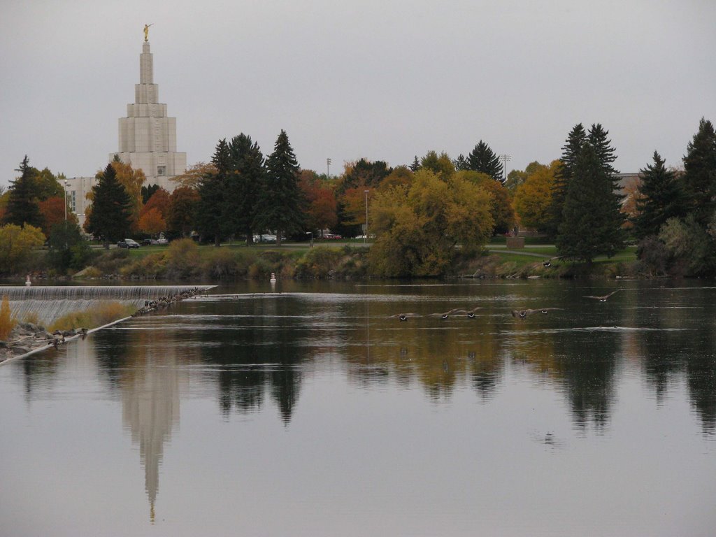 Idaho Falls Temple Reflection in Autumn