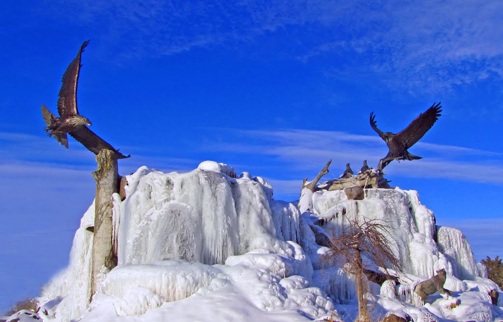 Eagles and Mountain Lion