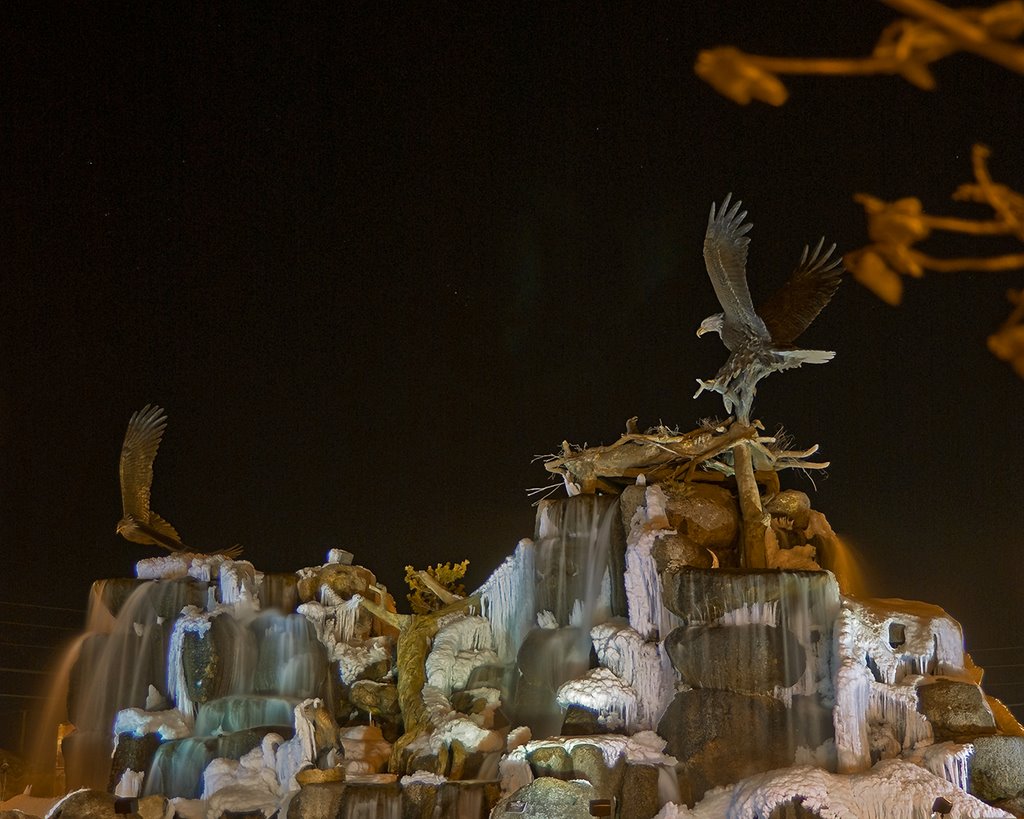 "Night Flight" - Idaho Falls, Idaho - Tom Askew