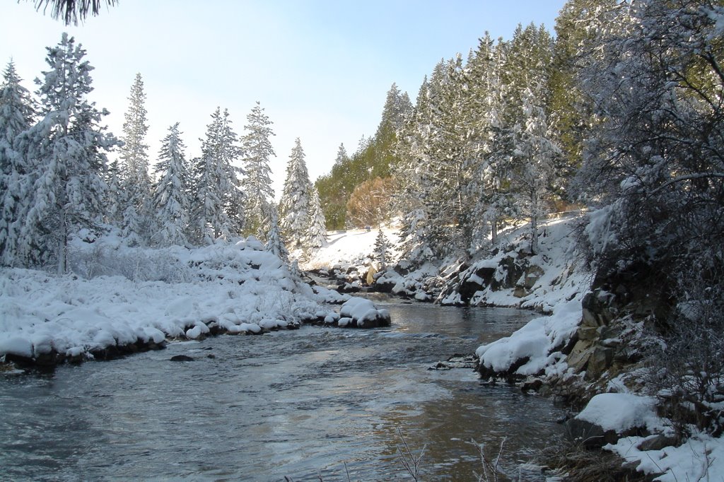 little Salmon River