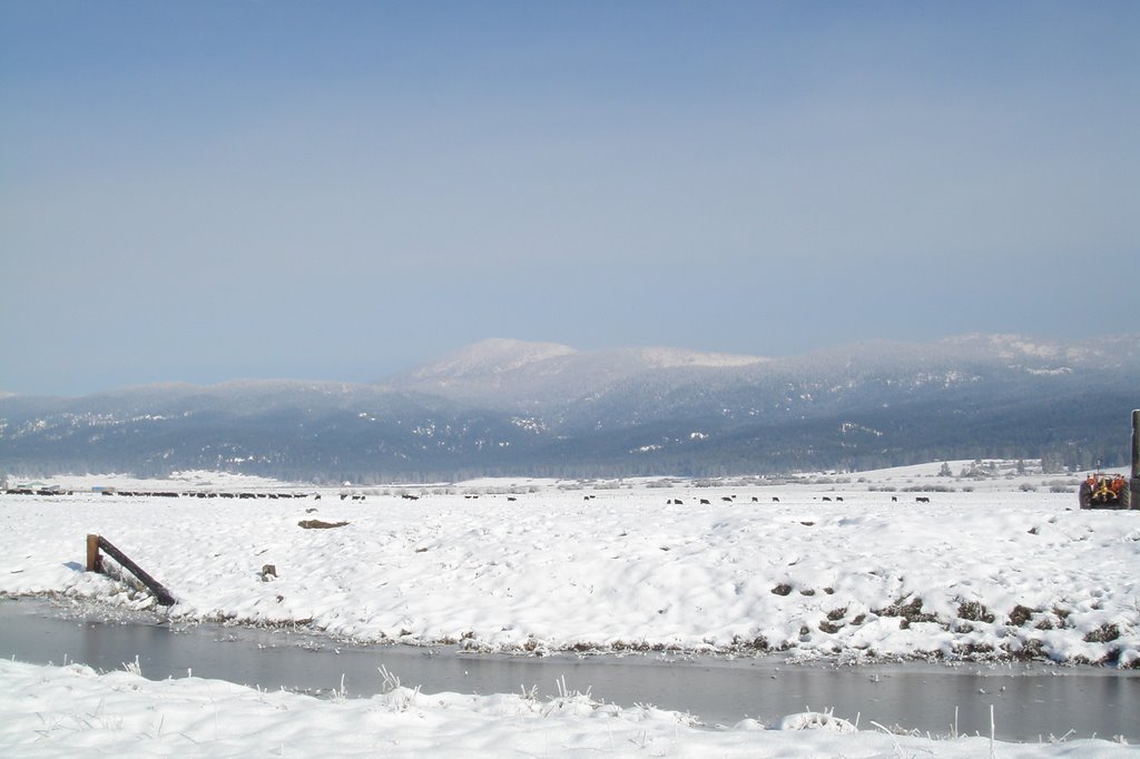 US 95 in winter