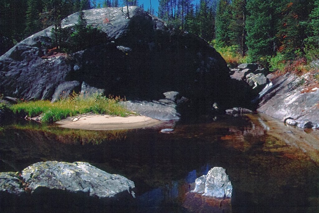 A quiet pool in Loon Creek. Lick Creek Mountains