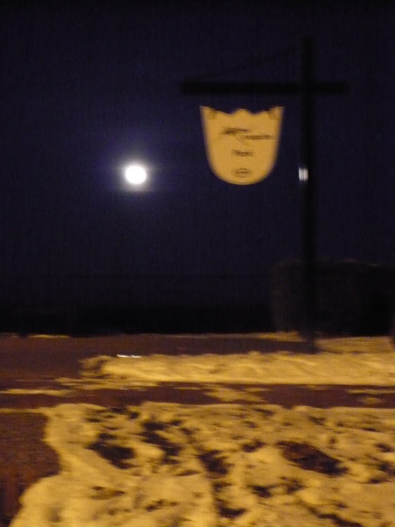 Mosquito Park Full Moon