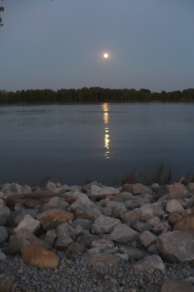 Moonlight Waves