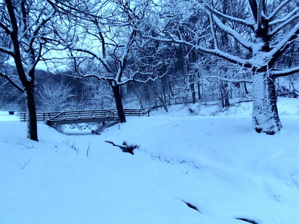 Riverside park creek
