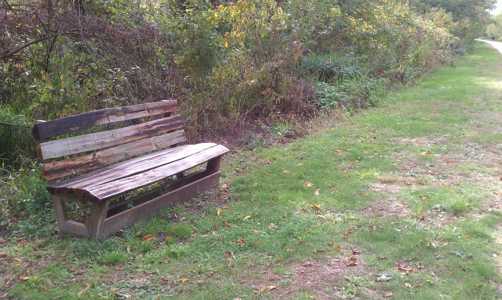 High Trestle Trail Bench 8