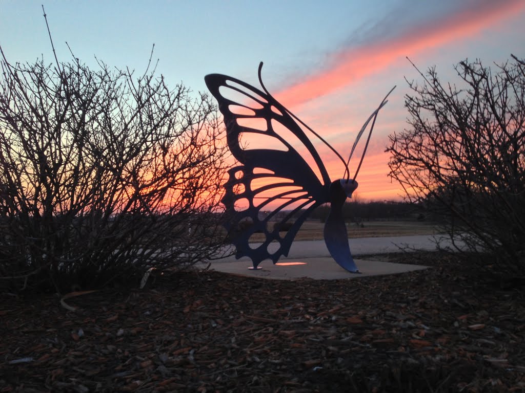 Butterfly Statue and Sunset